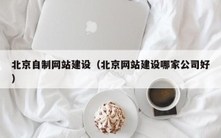 达州北京自制网站建设（北京网站建设哪家公司好）